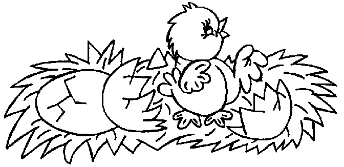 着色页: 小鸡 (动物) #15401 - 免费可打印着色页