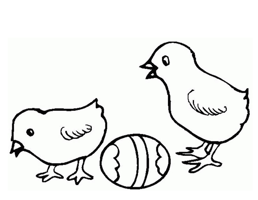 着色页: 小鸡 (动物) #15416 - 免费可打印着色页