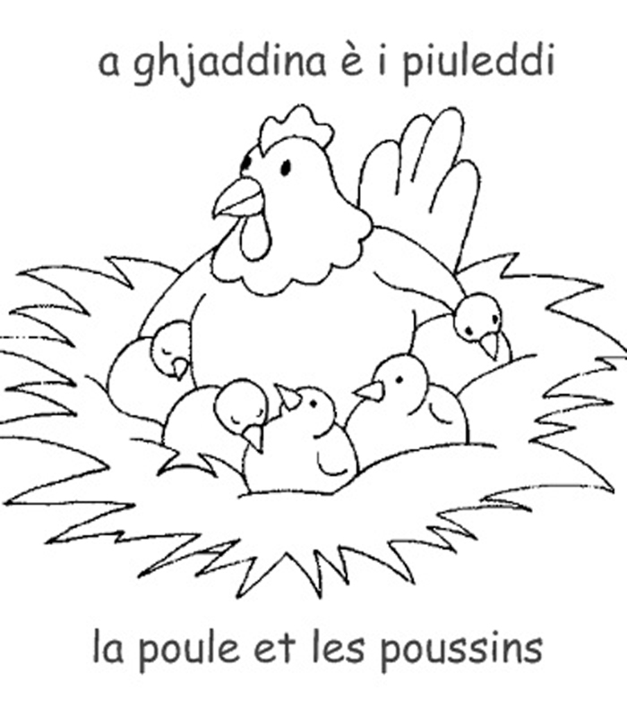 着色页: 小鸡 (动物) #15471 - 免费可打印着色页