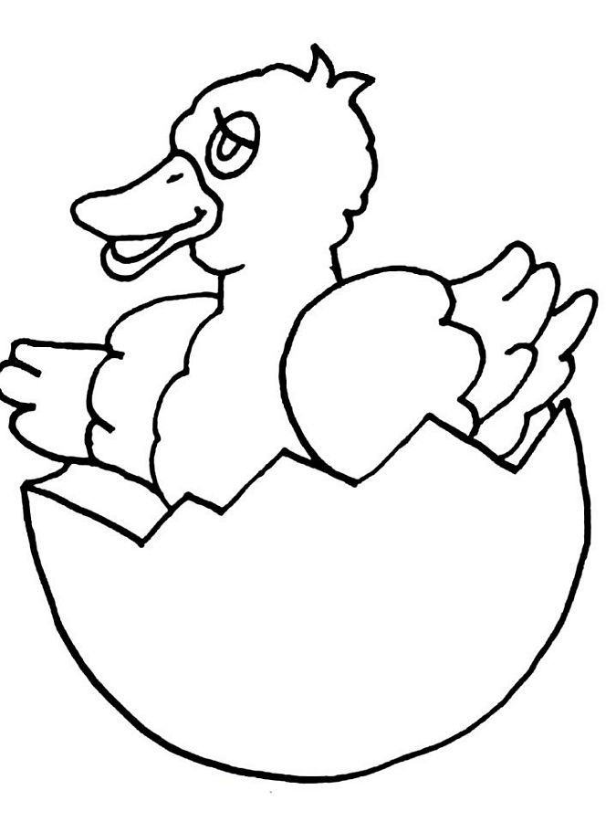 着色页: 小鸡 (动物) #15478 - 免费可打印着色页