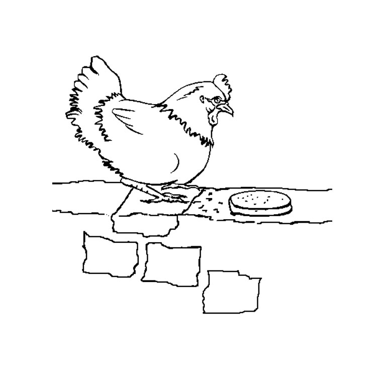 着色页: 鸡 (动物) #17230 - 免费可打印着色页