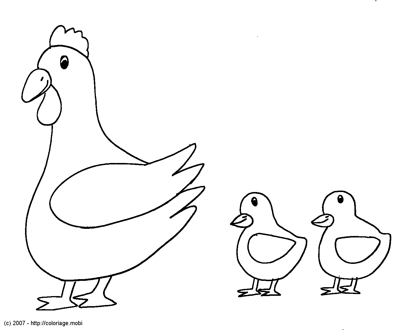 着色页: 鸡 (动物) #17238 - 免费可打印着色页