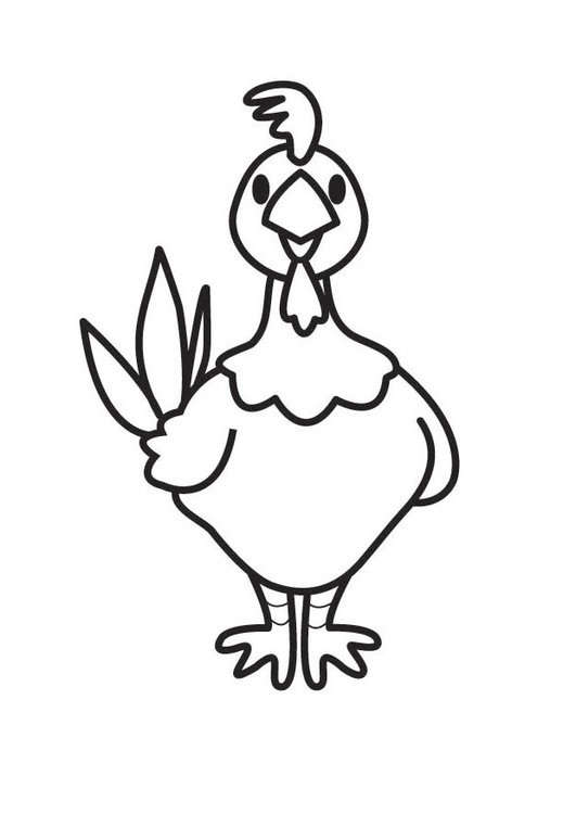 着色页: 鸡 (动物) #17252 - 免费可打印着色页