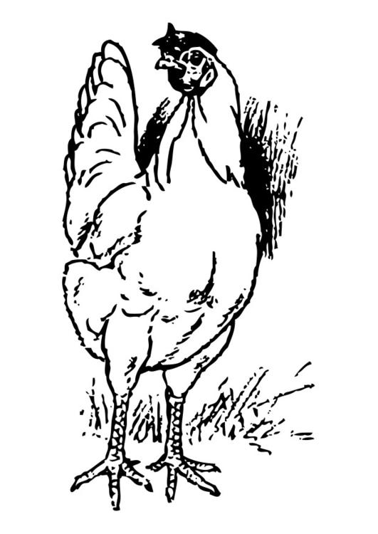 着色页: 鸡 (动物) #17271 - 免费可打印着色页