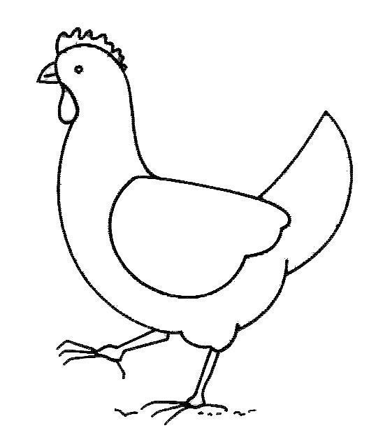 着色页: 鸡 (动物) #17275 - 免费可打印着色页