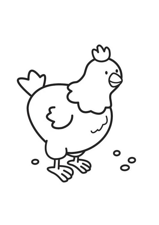 着色页: 鸡 (动物) #17279 - 免费可打印着色页