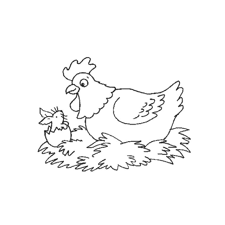 着色页: 鸡 (动物) #17295 - 免费可打印着色页