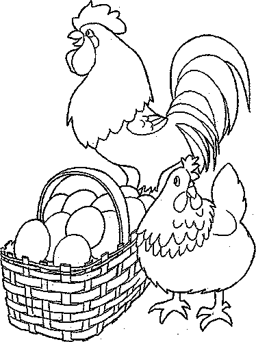着色页: 鸡 (动物) #17300 - 免费可打印着色页