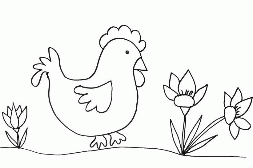 着色页: 鸡 (动物) #17306 - 免费可打印着色页
