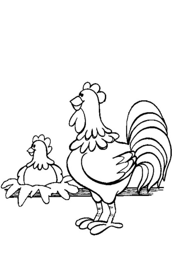 着色页: 鸡 (动物) #17309 - 免费可打印着色页