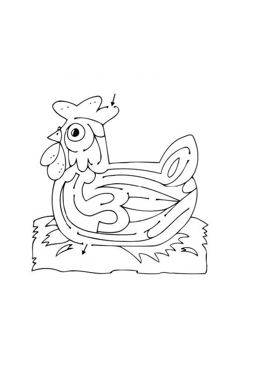 着色页: 鸡 (动物) #17327 - 免费可打印着色页