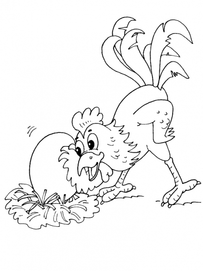 着色页: 鸡 (动物) #17353 - 免费可打印着色页