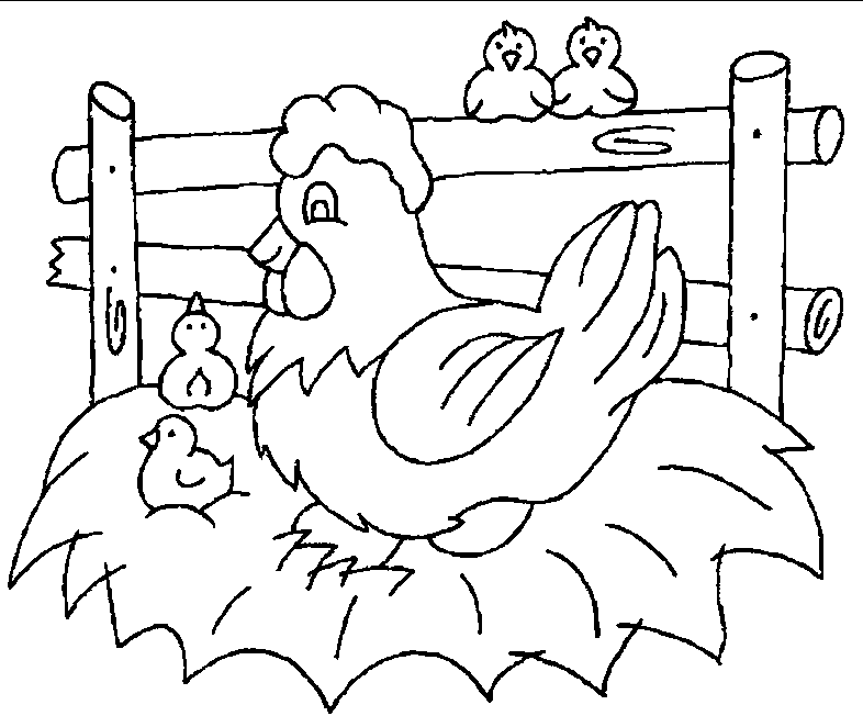 着色页: 鸡 (动物) #17384 - 免费可打印着色页