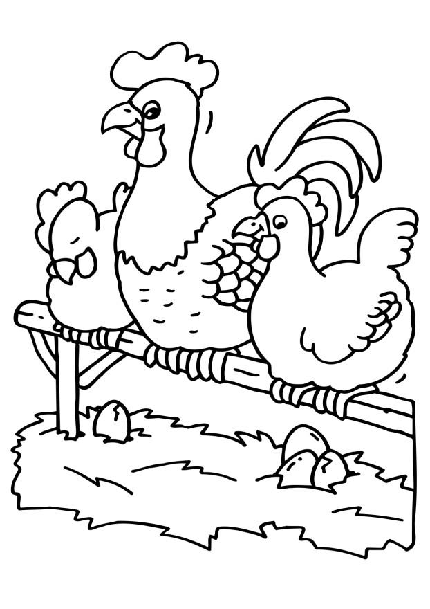 着色页: 鸡 (动物) #17392 - 免费可打印着色页