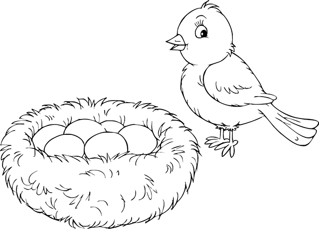 着色页: 小鸟 (动物) #20304 - 免费可打印着色页