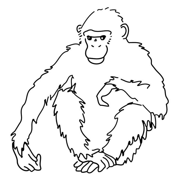 着色页: 黑猩猩 (动物) #2779 - 免费可打印着色页