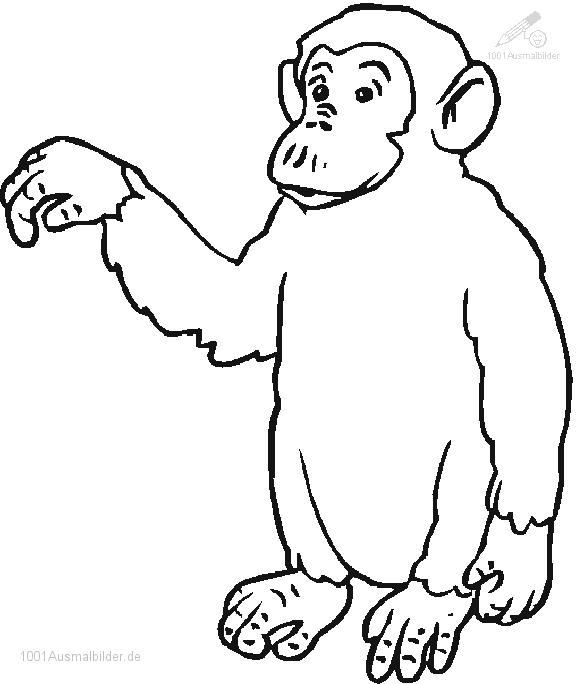 着色页: 黑猩猩 (动物) #2805 - 免费可打印着色页