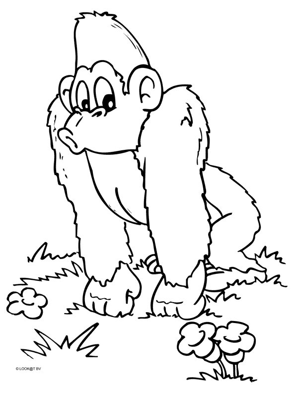 着色页: 黑猩猩 (动物) #2826 - 免费可打印着色页