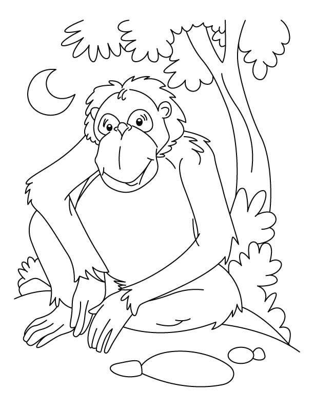 着色页: 黑猩猩 (动物) #2827 - 免费可打印着色页