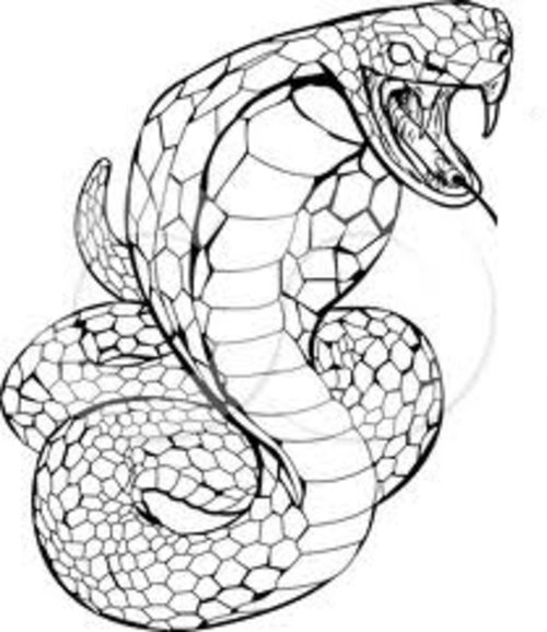 着色页: 眼镜蛇 (动物) #3220 - 免费可打印着色页