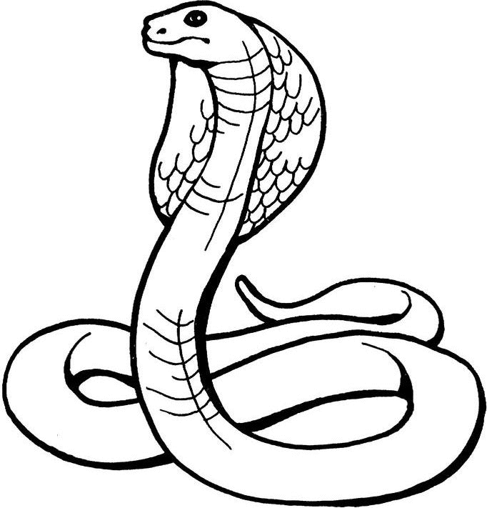 着色页: 眼镜蛇 (动物) #3223 - 免费可打印着色页