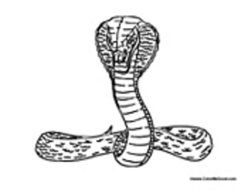 着色页: 眼镜蛇 (动物) #3225 - 免费可打印着色页