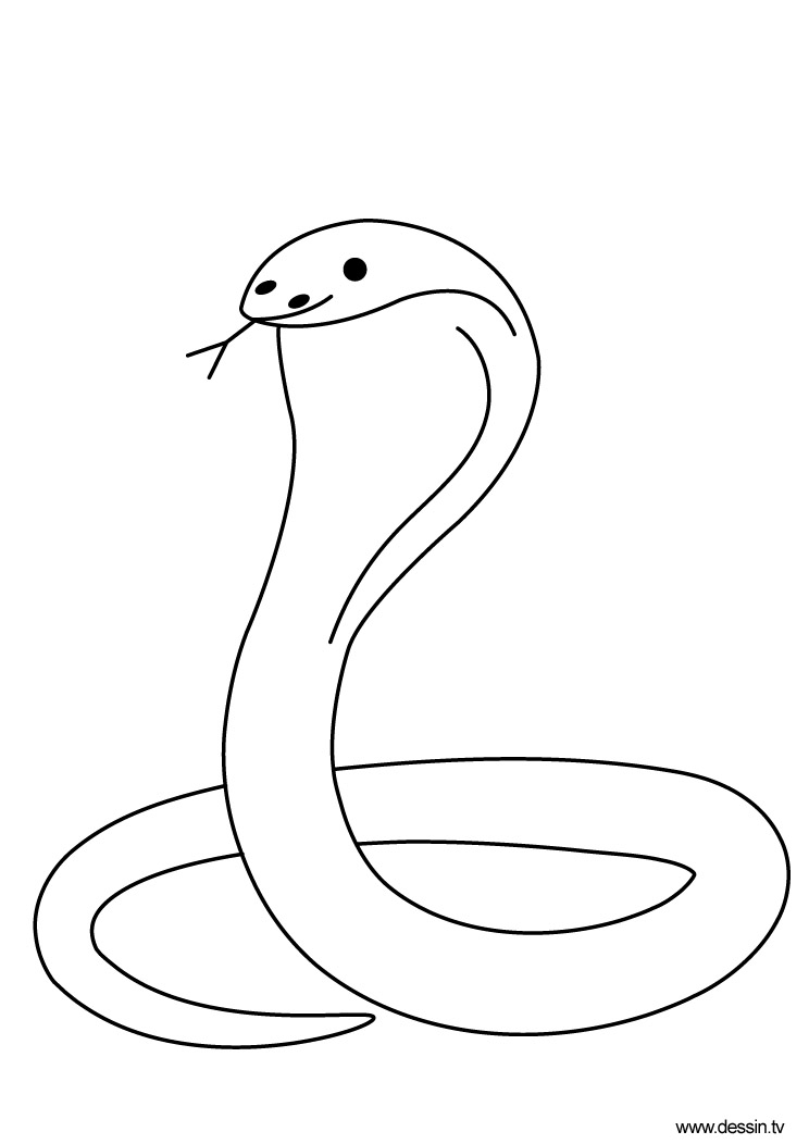 着色页: 眼镜蛇 (动物) #3227 - 免费可打印着色页