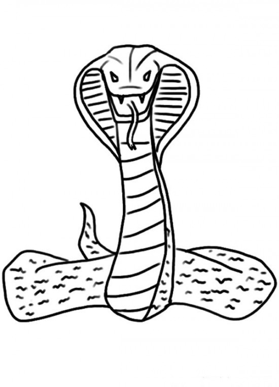 着色页: 眼镜蛇 (动物) #3228 - 免费可打印着色页