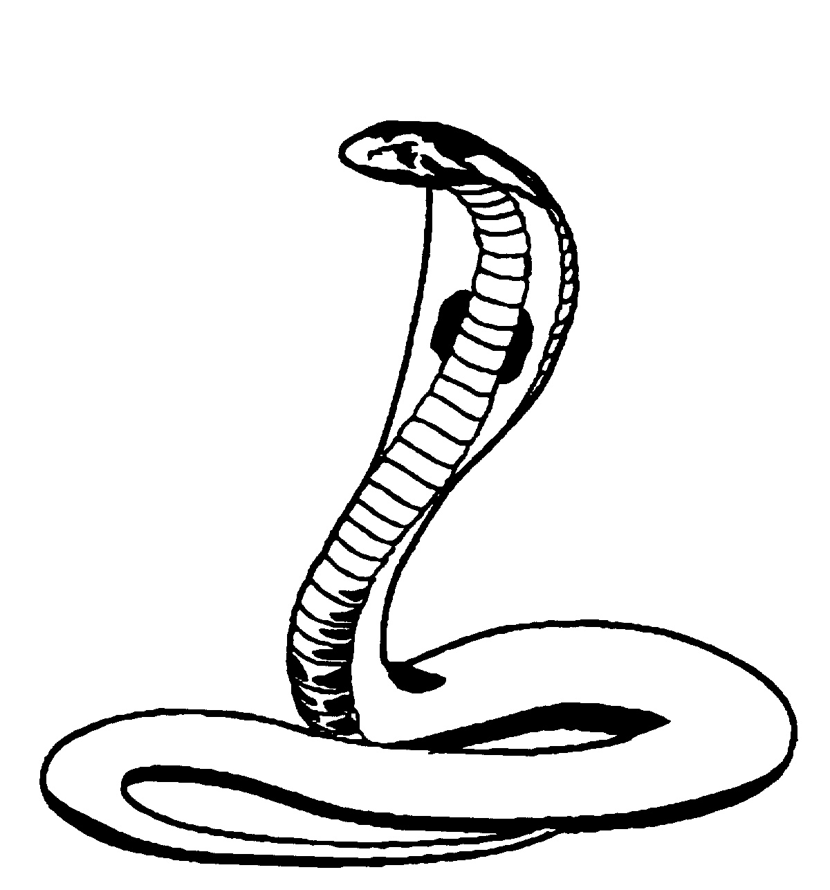 着色页: 眼镜蛇 (动物) #3296 - 免费可打印着色页