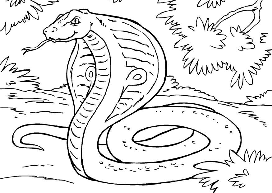 着色页: 眼镜蛇 (动物) #3308 - 免费可打印着色页