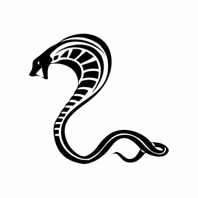 着色页: 眼镜蛇 (动物) #3362 - 免费可打印着色页