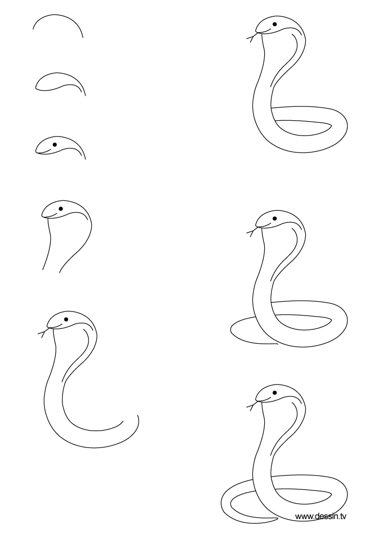 着色页: 眼镜蛇 (动物) #3375 - 免费可打印着色页