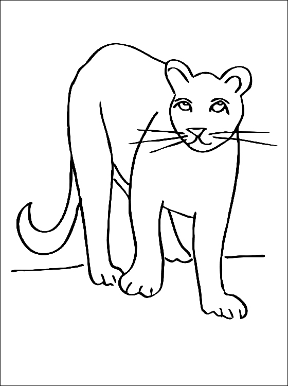 着色页: 美洲狮 (动物) #4384 - 免费可打印着色页
