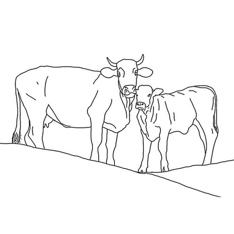 着色页: 奶牛 (动物) #13194 - 免费可打印着色页