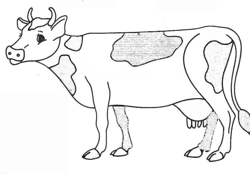 着色页: 奶牛 (动物) #13227 - 免费可打印着色页