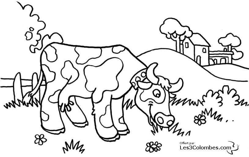 着色页: 奶牛 (动物) #13245 - 免费可打印着色页