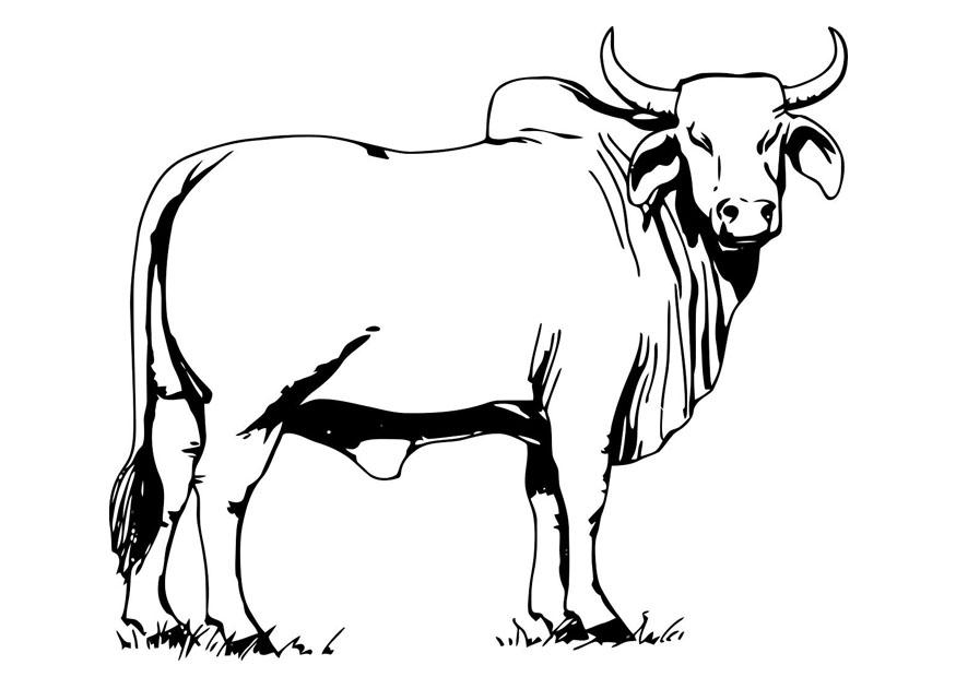 着色页: 奶牛 (动物) #13260 - 免费可打印着色页