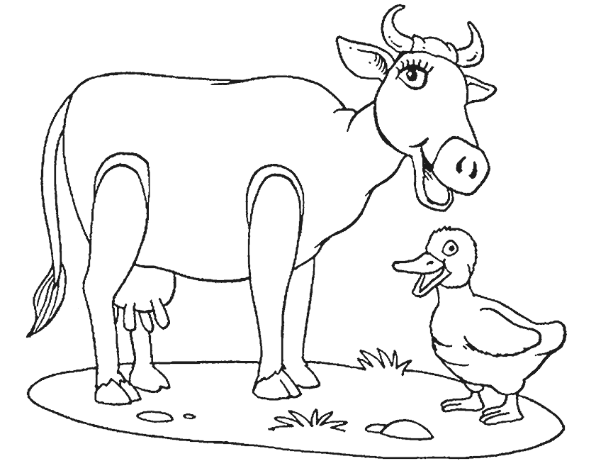 着色页: 奶牛 (动物) #13329 - 免费可打印着色页