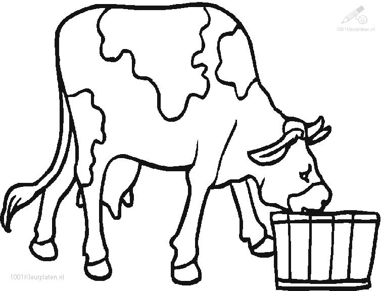 着色页: 奶牛 (动物) #13352 - 免费可打印着色页