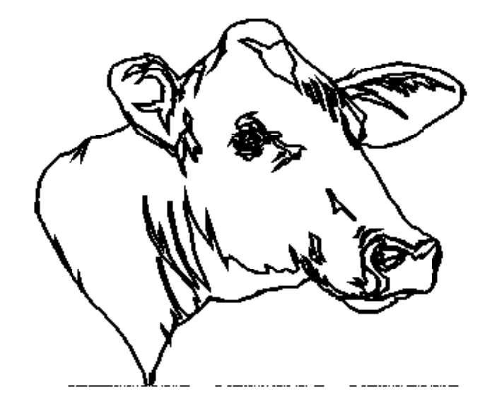 着色页: 奶牛 (动物) #13380 - 免费可打印着色页