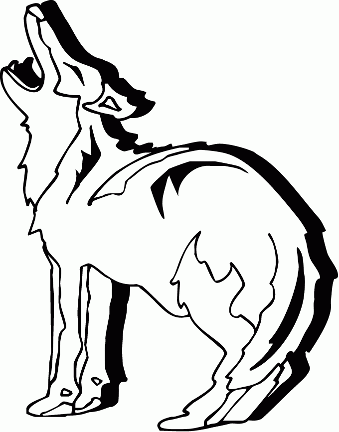 着色页: 郊狼 (动物) #4505 - 免费可打印着色页