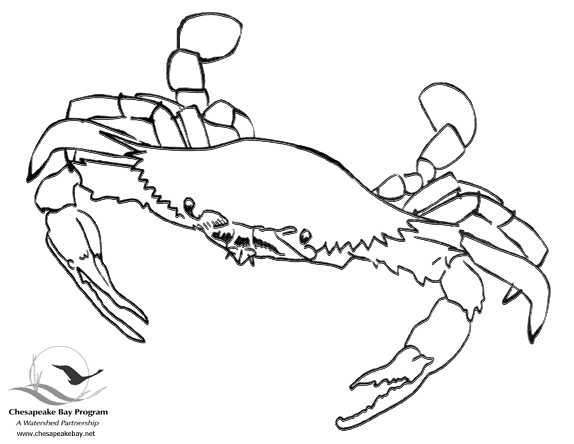 着色页: 螃蟹 (动物) #4592 - 免费可打印着色页