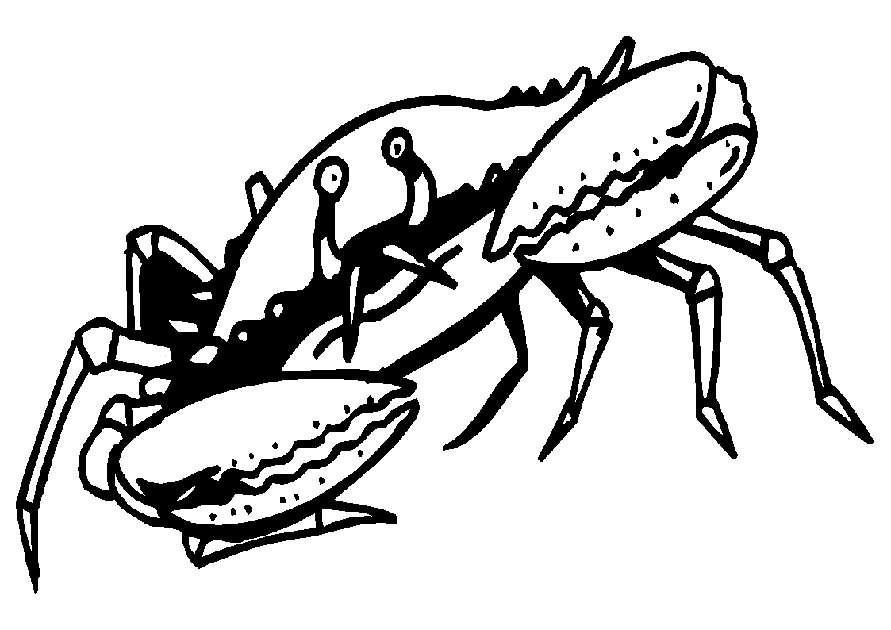 着色页: 螃蟹 (动物) #4602 - 免费可打印着色页