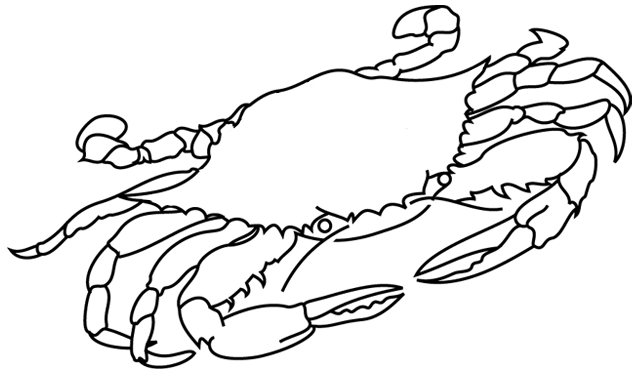 着色页: 螃蟹 (动物) #4622 - 免费可打印着色页