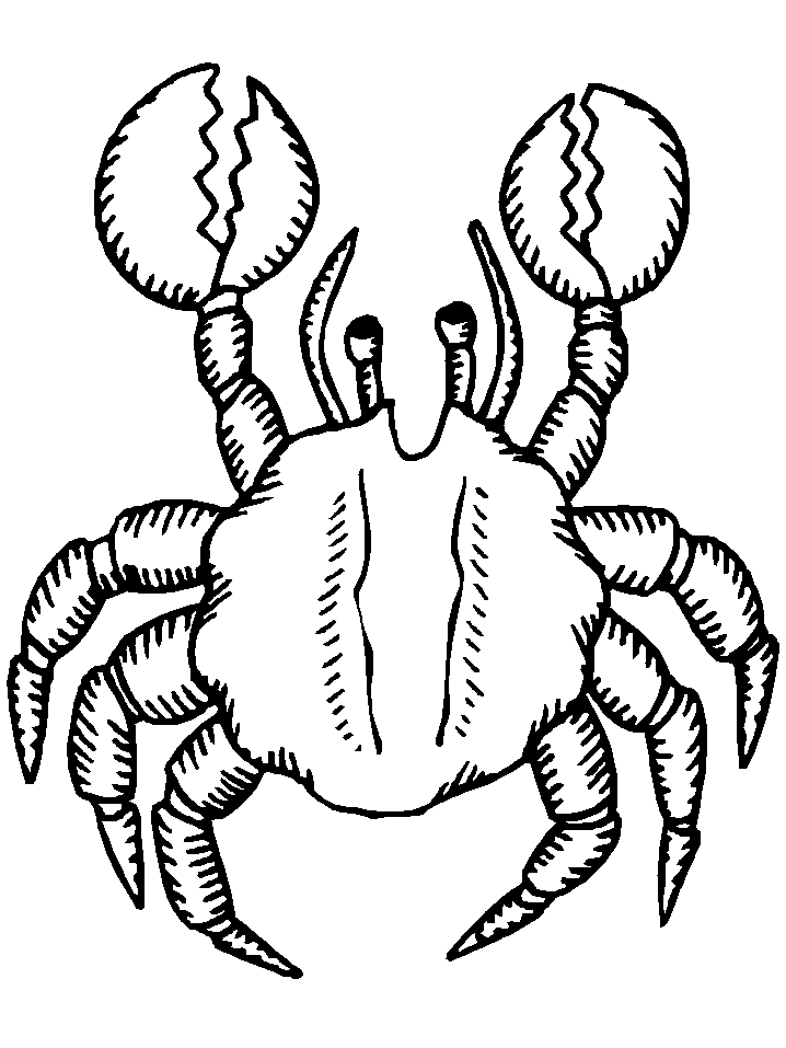 着色页: 螃蟹 (动物) #4624 - 免费可打印着色页
