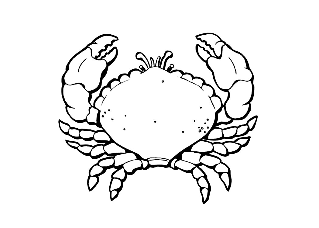 着色页: 螃蟹 (动物) #4629 - 免费可打印着色页