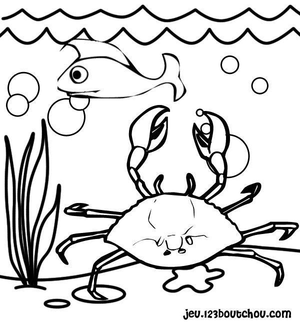 着色页: 螃蟹 (动物) #4663 - 免费可打印着色页