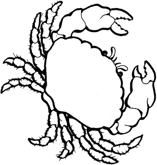 着色页: 螃蟹 (动物) #4670 - 免费可打印着色页