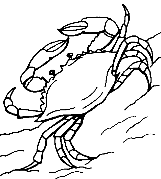 着色页: 螃蟹 (动物) #4717 - 免费可打印着色页