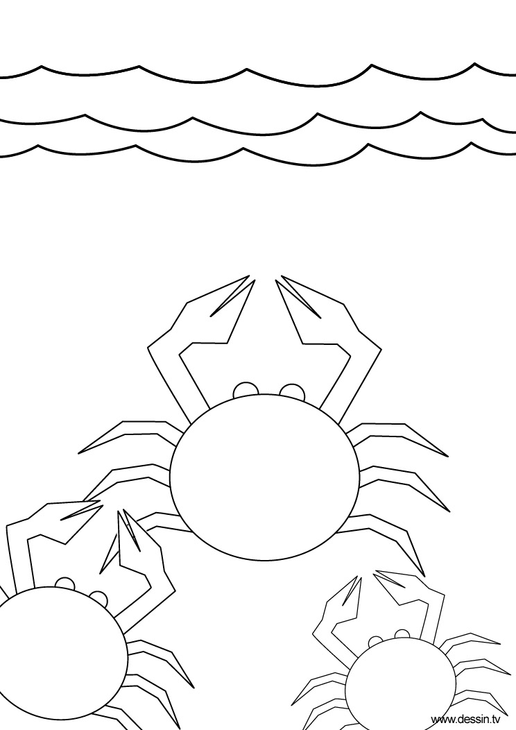 着色页: 螃蟹 (动物) #4763 - 免费可打印着色页
